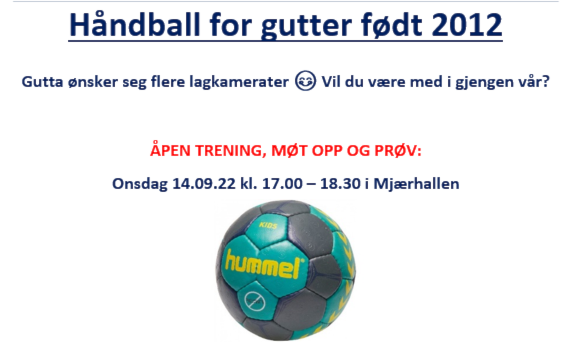 Håndballgutter født 2012 ønsker seg flere lagkamerater, kom og prøv 14.09.22